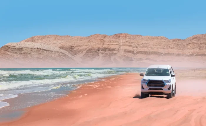 days self drive namibian family safari new fe
