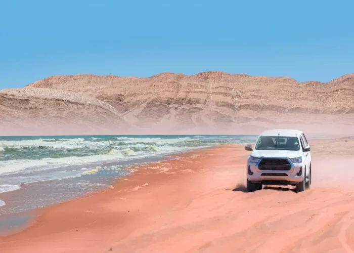 days self drive namibian family safari new fe