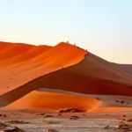 days cultural landscape and wildlife namibian safari lodging new fe