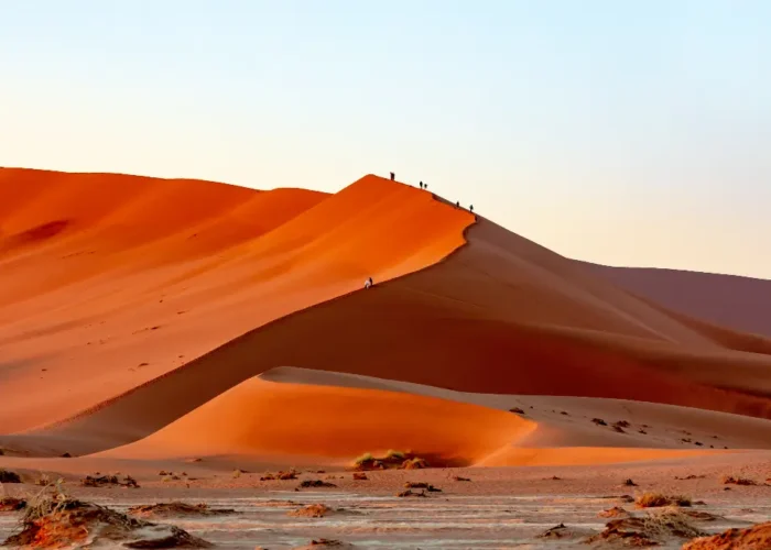 days cultural landscape and wildlife namibian safari lodging new fe