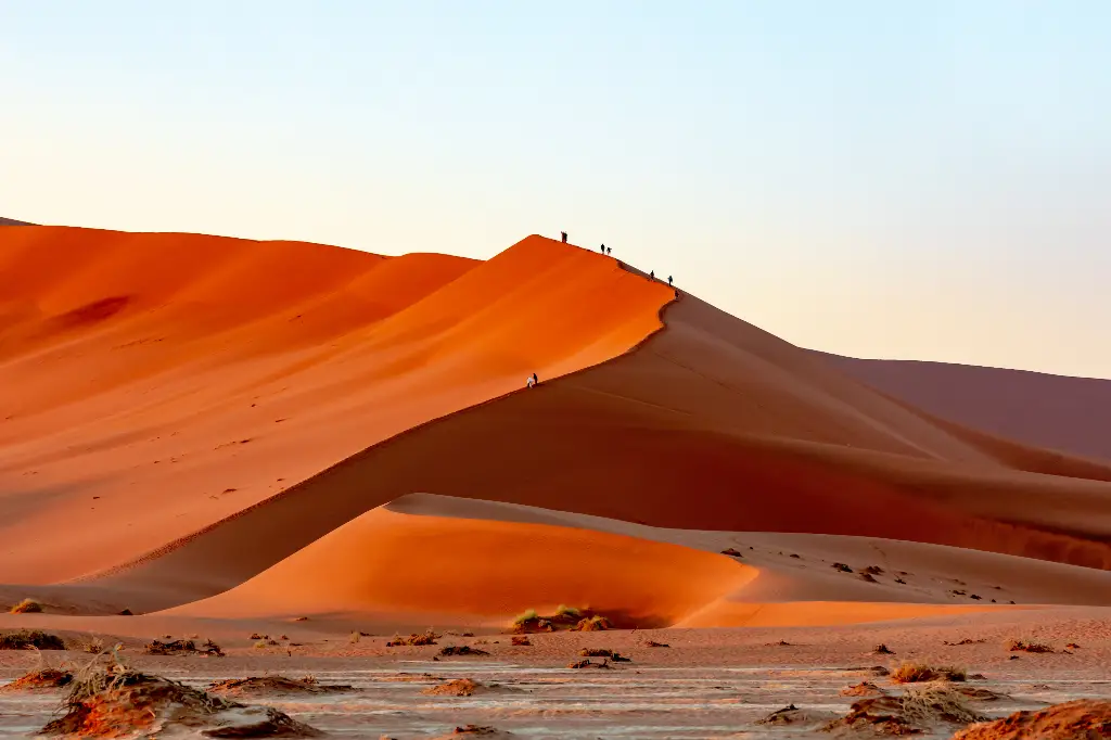 15 Days Self-Drive Northern Namibia, Botswana & Victoria Falls Round Safari (Lodging) New