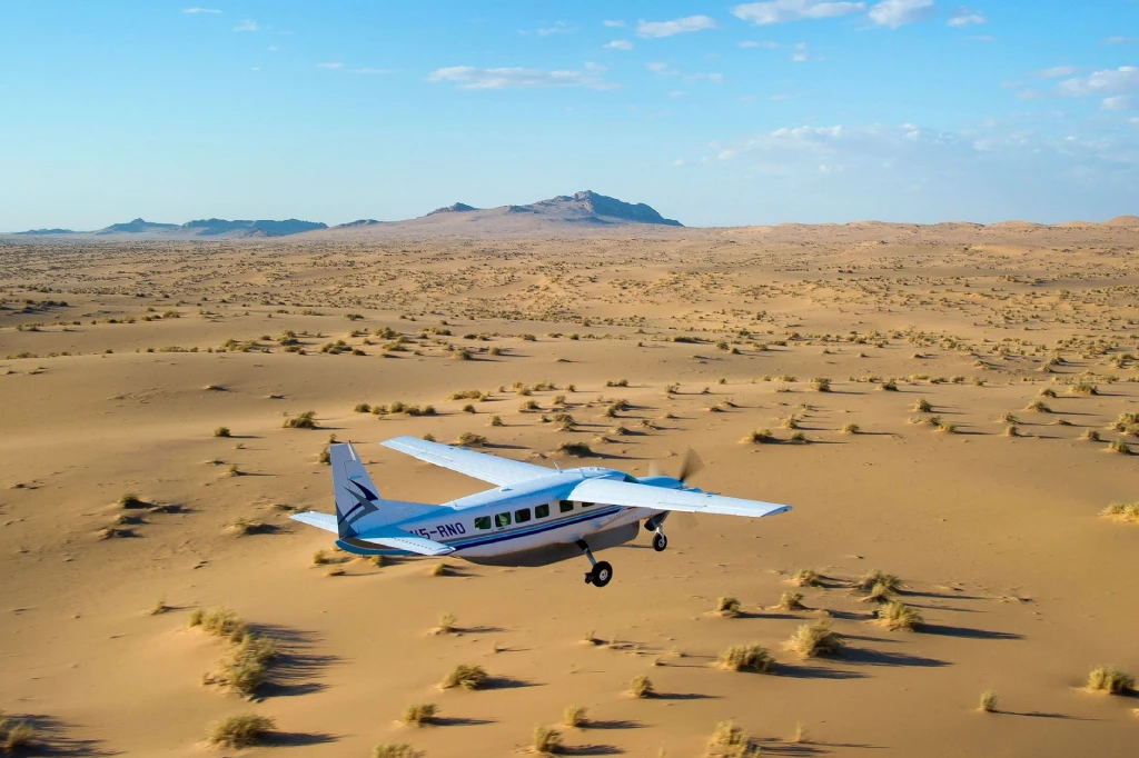 African Safari Tours & Holidays, Safari World Tours