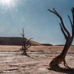 days self drive northern namibia botswana victoria falls round safari lodging new fe
