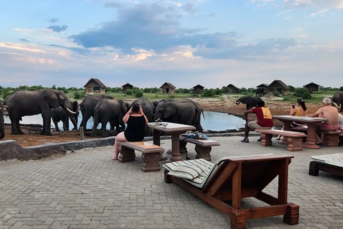 15 Days Self-Drive Northern Namibia, Botswana & Victoria Falls Round Safari (Lodging)