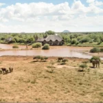 16 Days Wildlife Namibia Lodge Safari