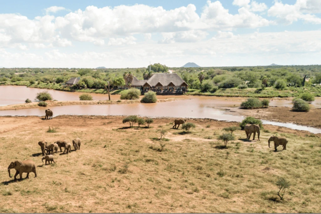 16 Days Wildlife Namibia Lodge Safari