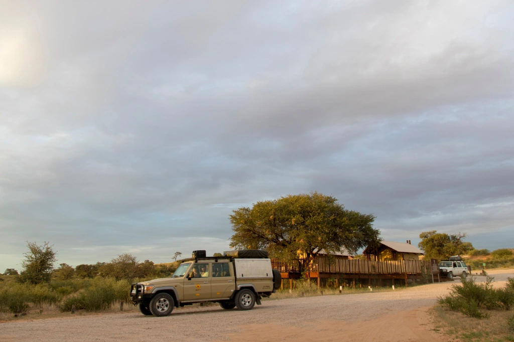 African Safari Tours & Holidays, Safari World Tours