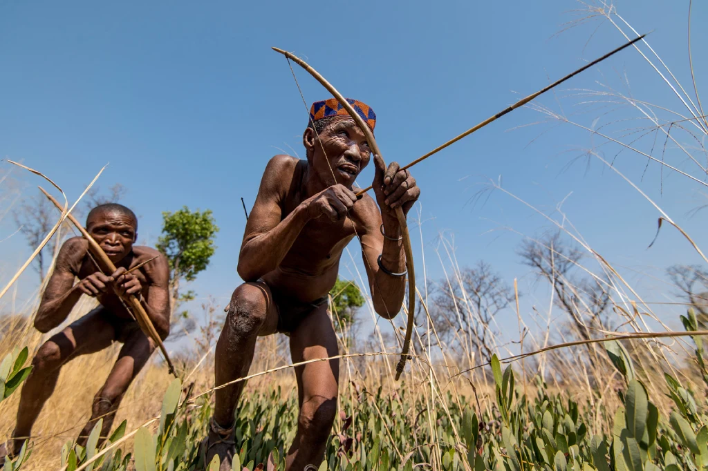 African Safari Tours & Holidays, Safari World Tours