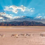 Sossusvlei safari camping