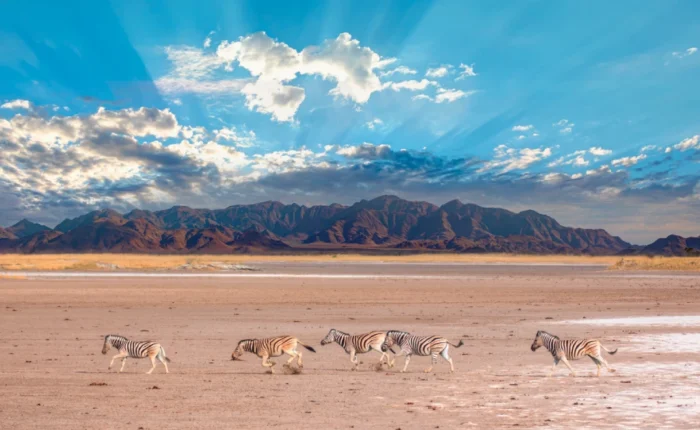 Sossusvlei safari camping