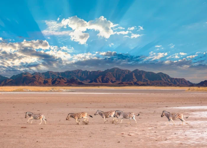 Sossusvlei safari camping