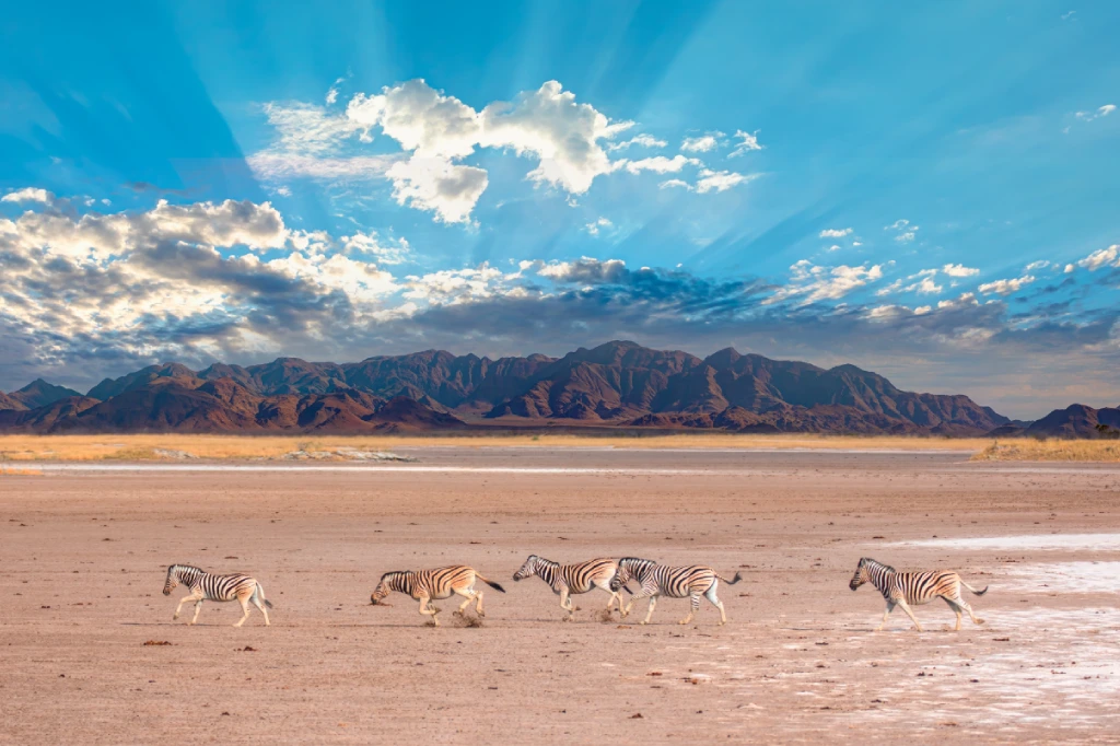 African Safari Tours & Holidays, Safari World Tours