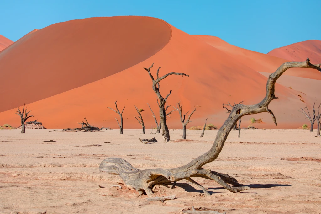 21 Days Namibia All-Rounder Safari Tour (Lodging) New