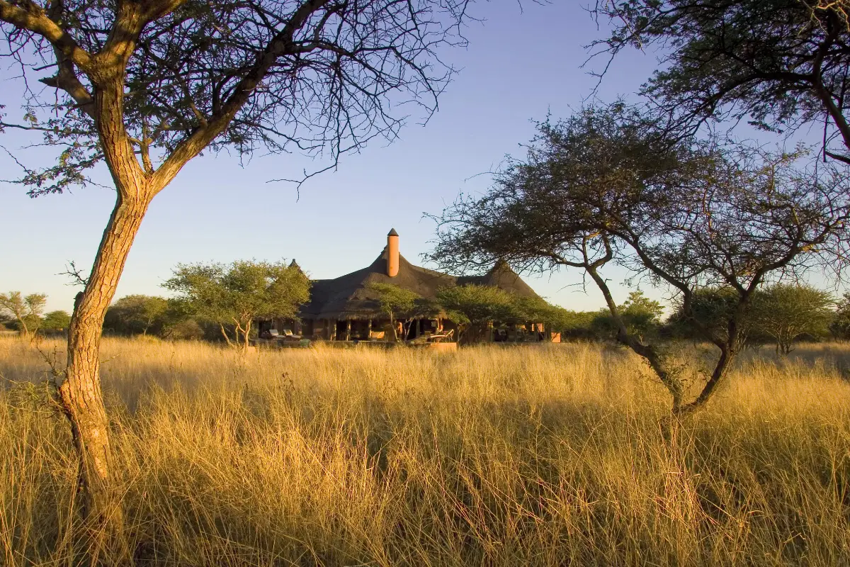 23 Tage Selbstfahrer-Rundreise durch das nördliche Namibia, Botswana & Victoria Falls (Camping)