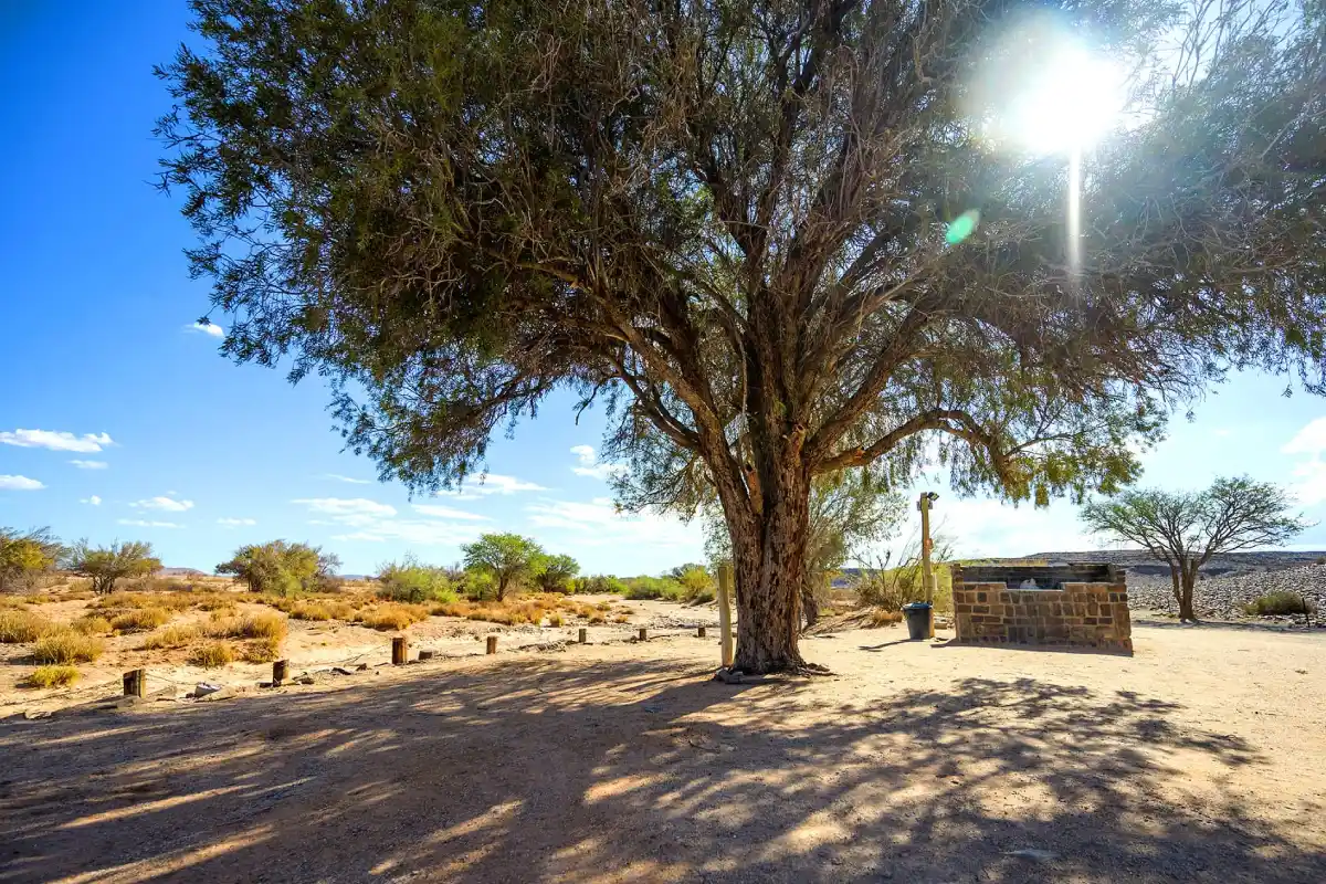 Canyon Roadhouse Campsite