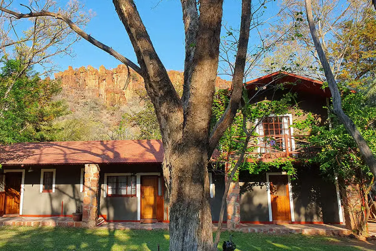 3 Days Rhino Trekking Wildlife Safari Tour (Lodging)