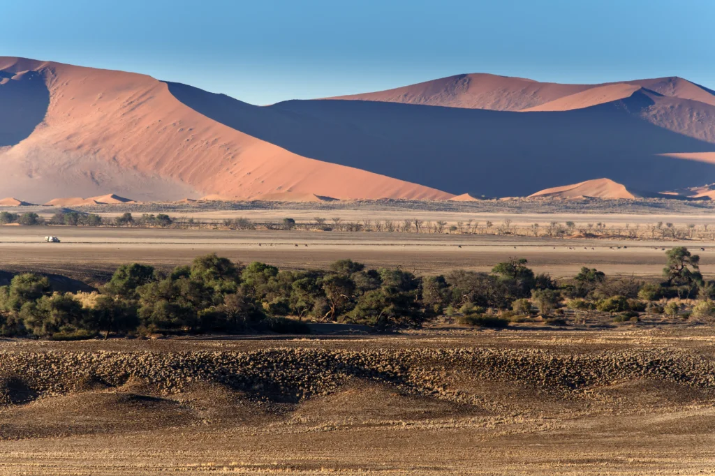 3 Days Sossusvlei Safari Namibia (Camping)