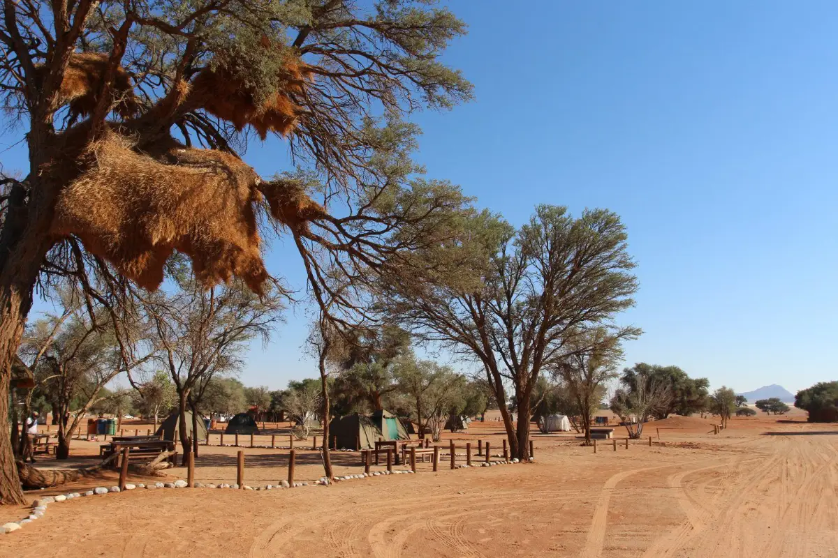 5 Days Sossusvlei & Swakopmund