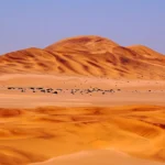 6 Days Desert, Coastal and Cultural Tour