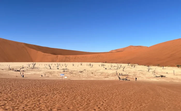 6 Days Etosha, Swakopmund & Sossusvlei Camping Safari