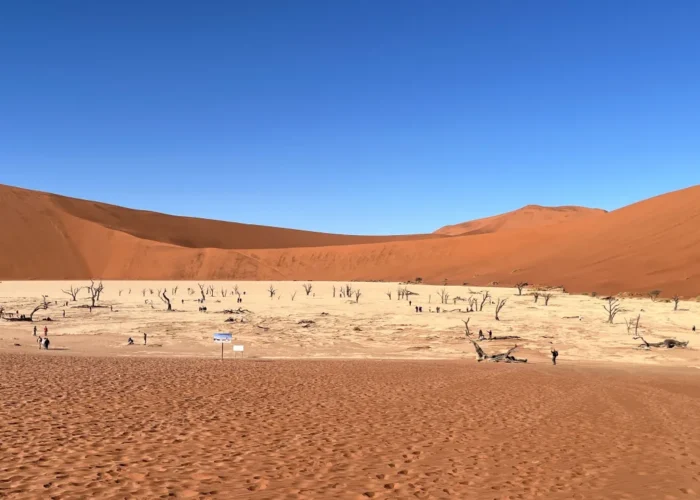 6 Days Etosha, Swakopmund & Sossusvlei Camping Safari