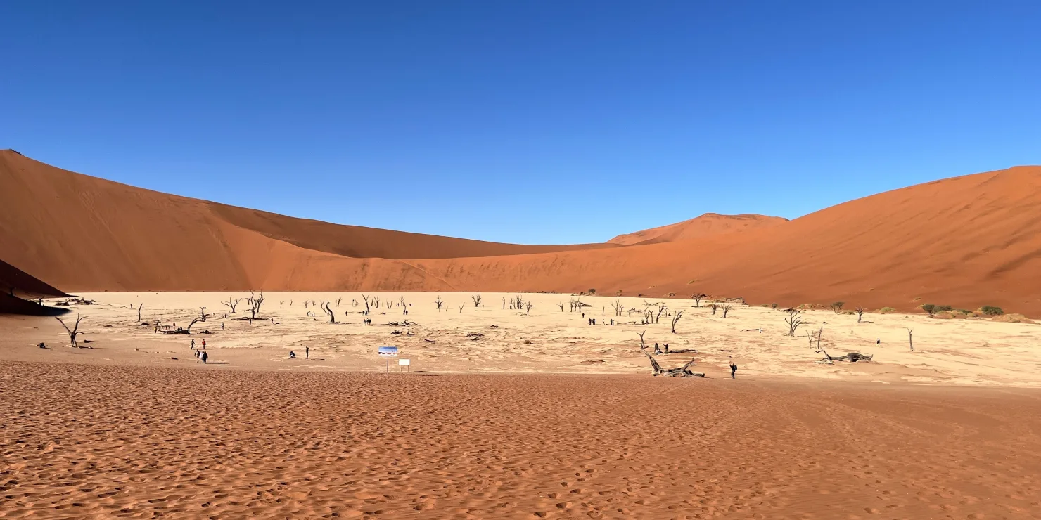 6 Days Etosha, Swakopmund & Sossusvlei Camping Safari
