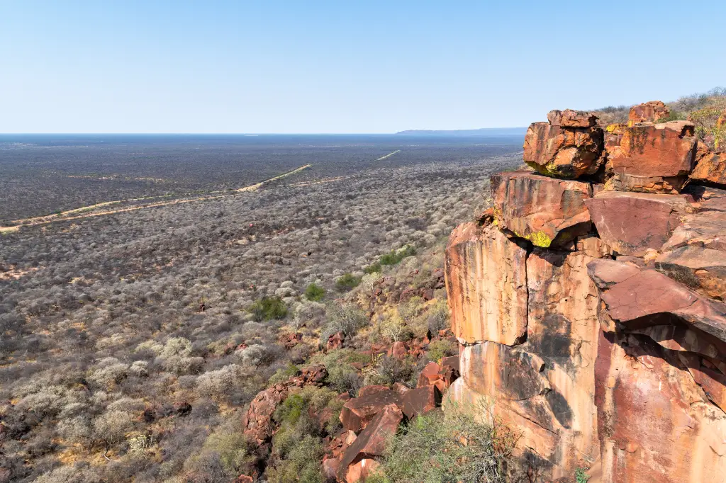 African Safari Tours & Holidays, Safari World Tours