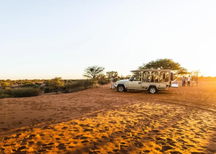 7 Days Northern Namibia Safari Accommodated Self Drive