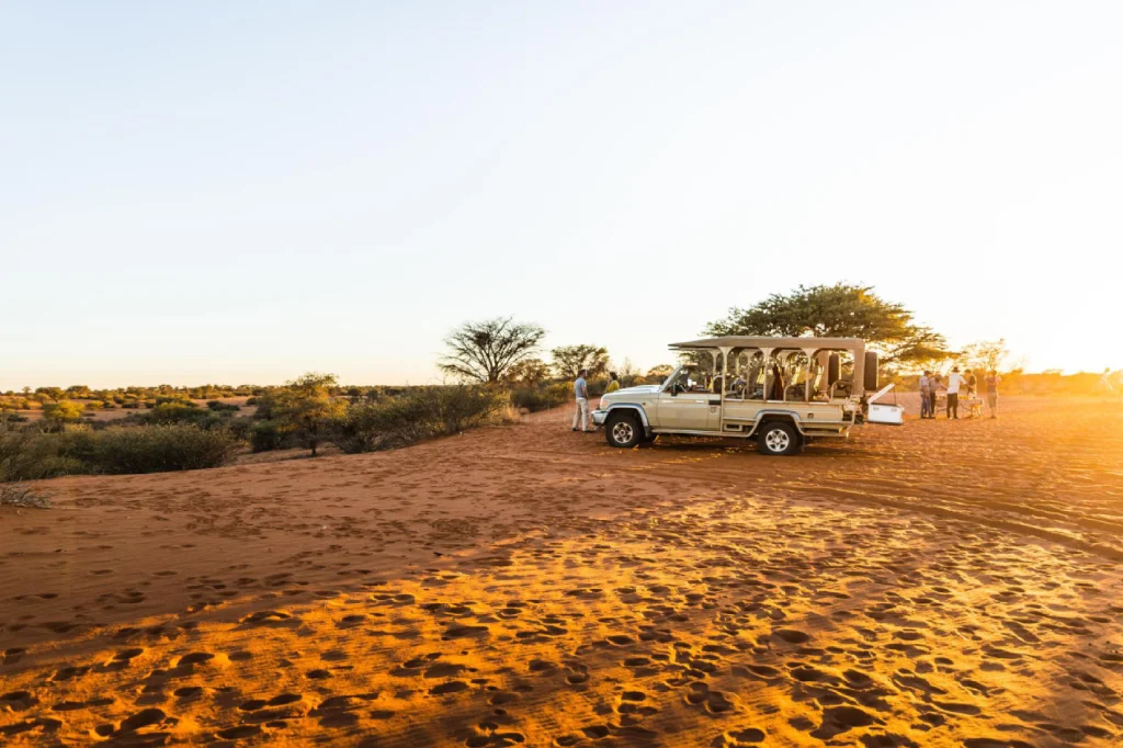 10 Day Highlight Namibia Safari Self Drive New