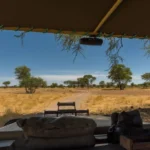 7 Tage Wildlife Game Trails in Namibia