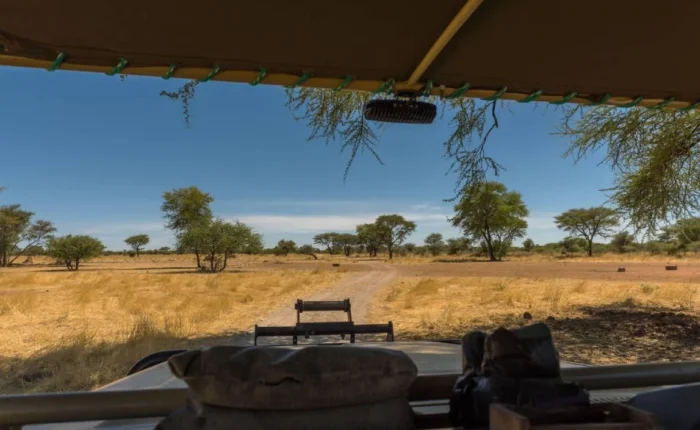 7 Tage Wildlife Game Trails in Namibia