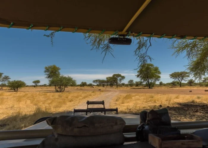 7 Days Wildlife Game Trails in Namibia