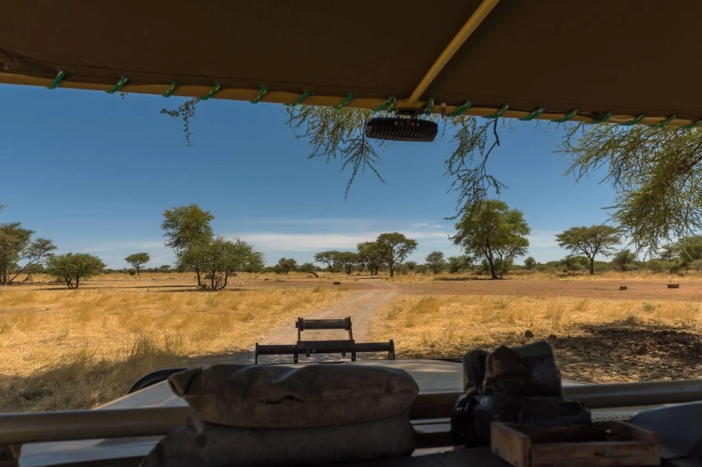 7 Days Wildlife Game Trails in Namibia