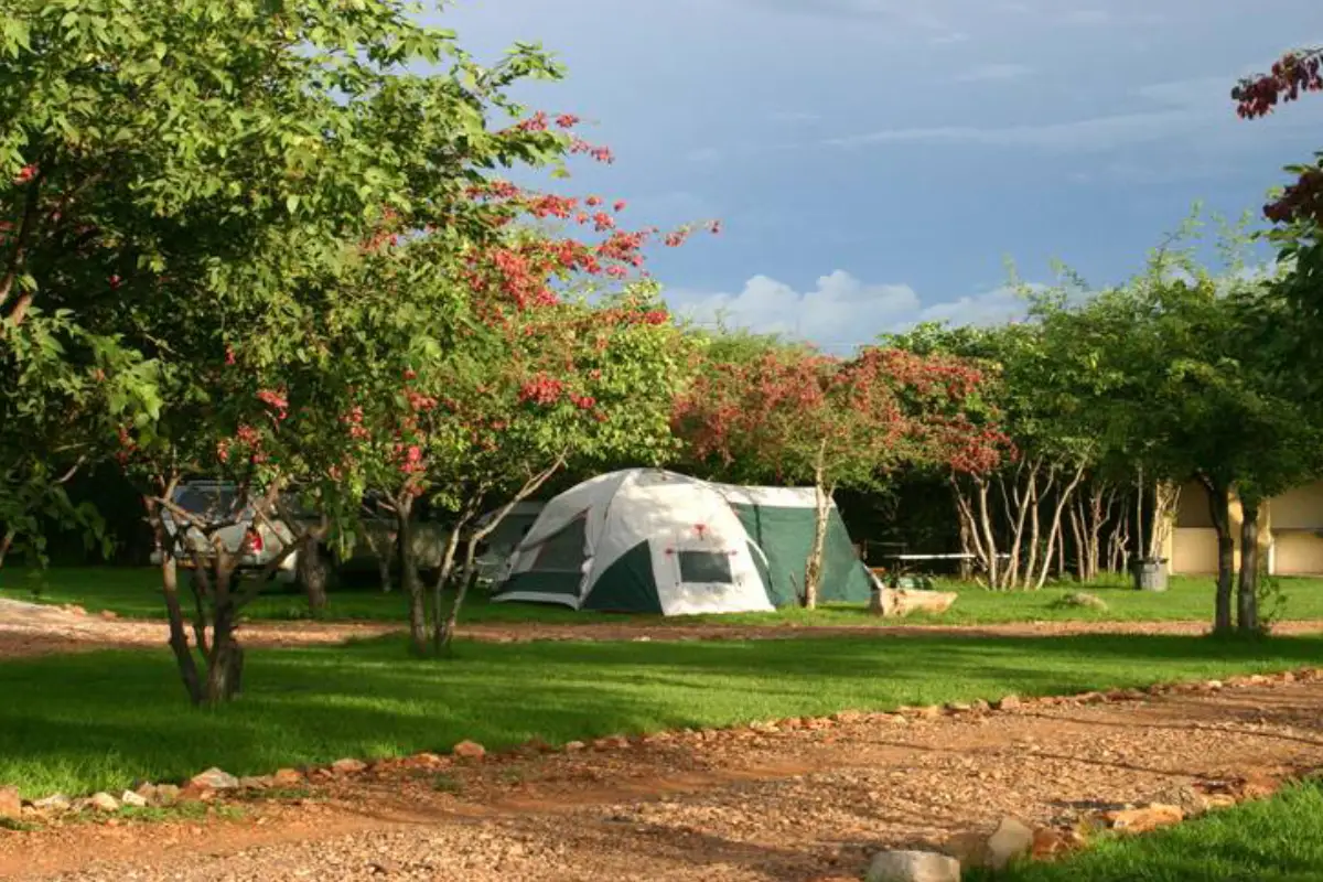 8 Days Desert, Coast and North Namibia Safari