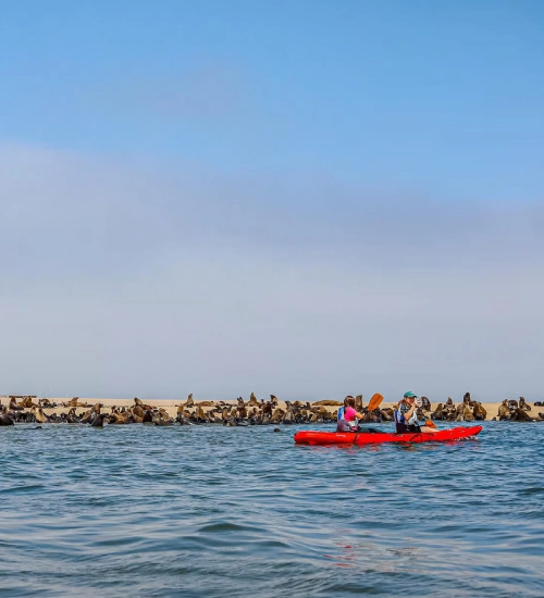 Paddling With Guides