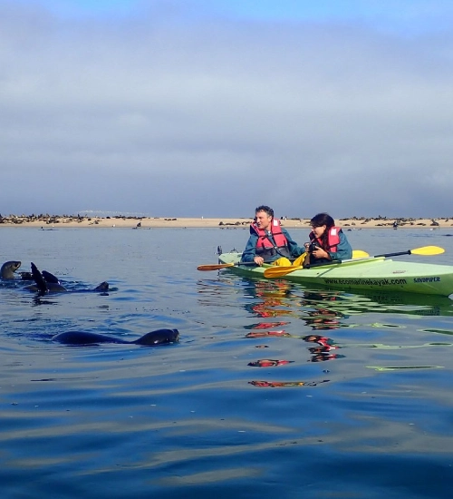 Paddling With Guides