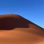 dsd