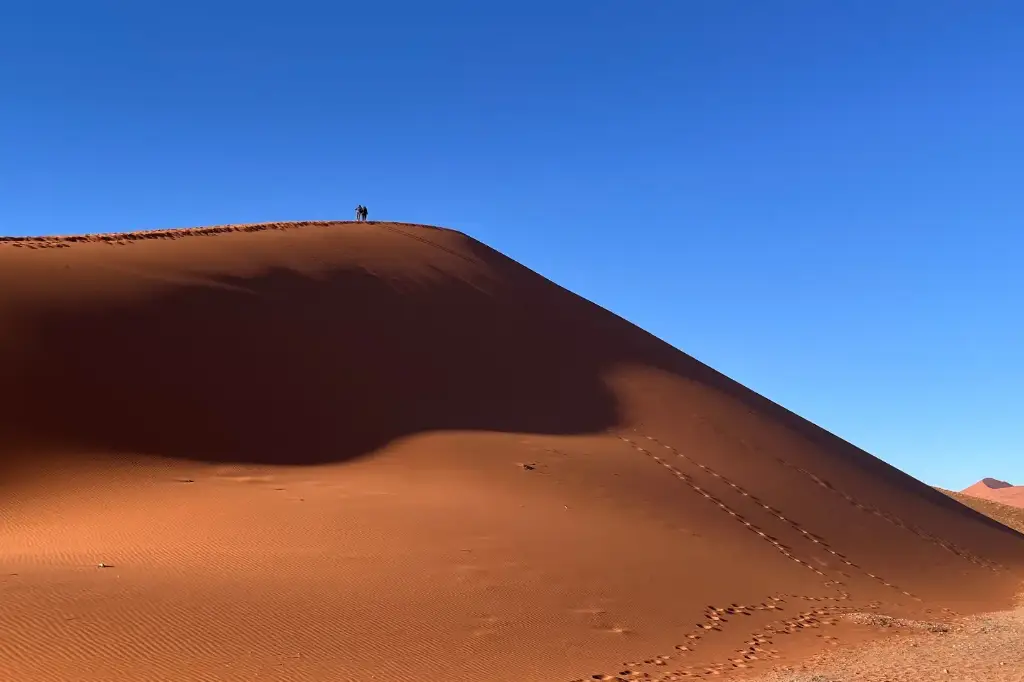 African Safari Tours & Holidays, Safari World Tours