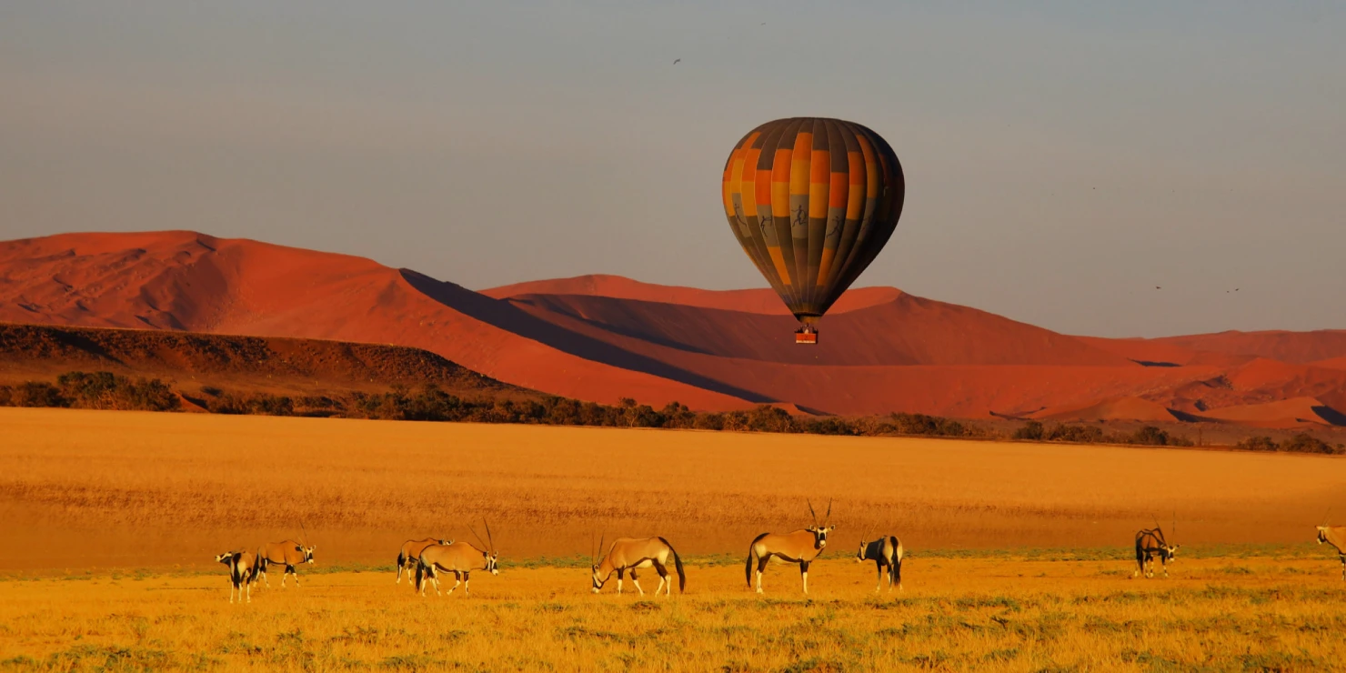 Hot Air Balloon in the Desert Hot Air Balloon in the Desert