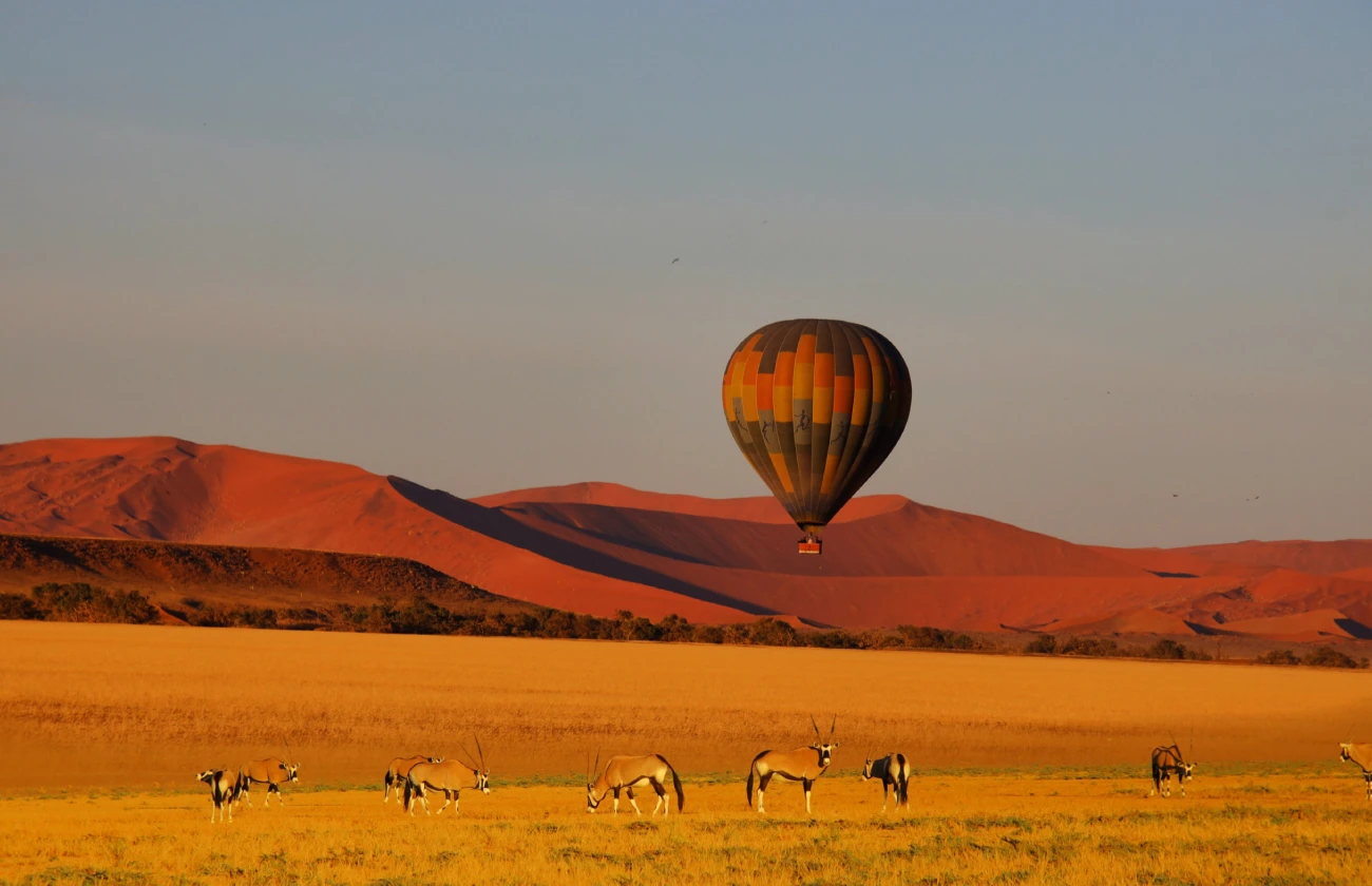 Hot Air Balloon in the Desert