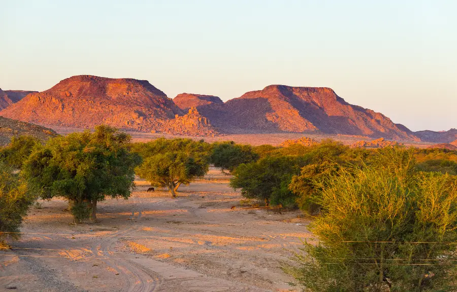 kalahari desert new