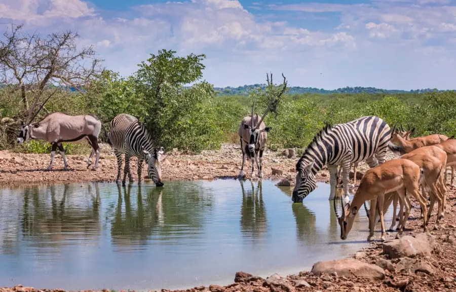 kavango region new