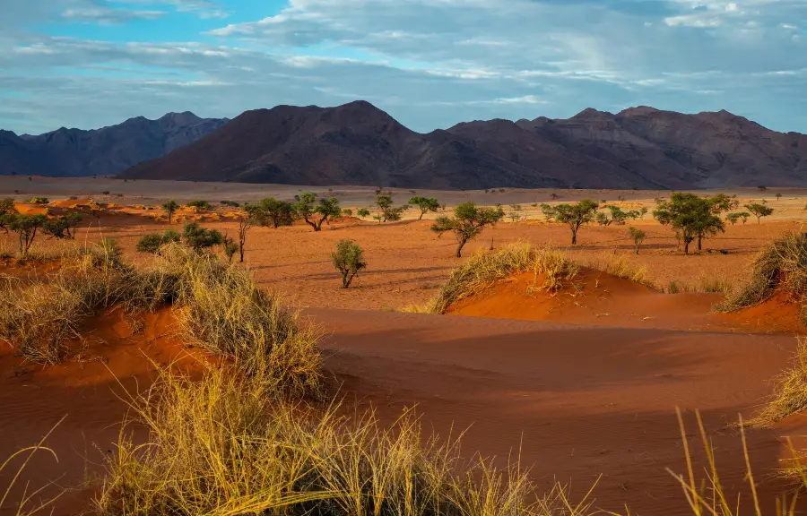 namib desert new namib desert new