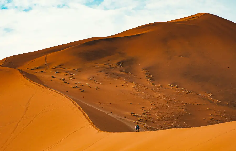 namib desert new namib desert new