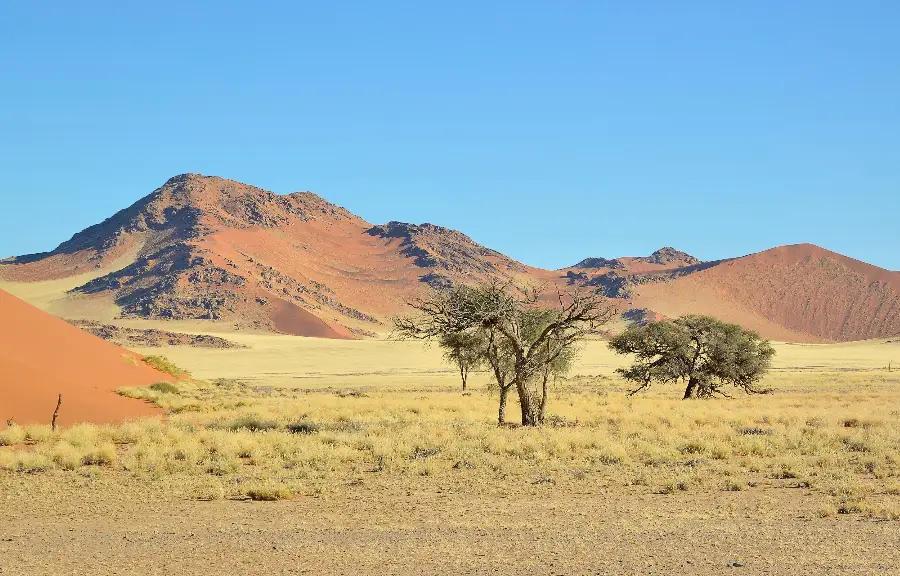 namib nakuluft national park new