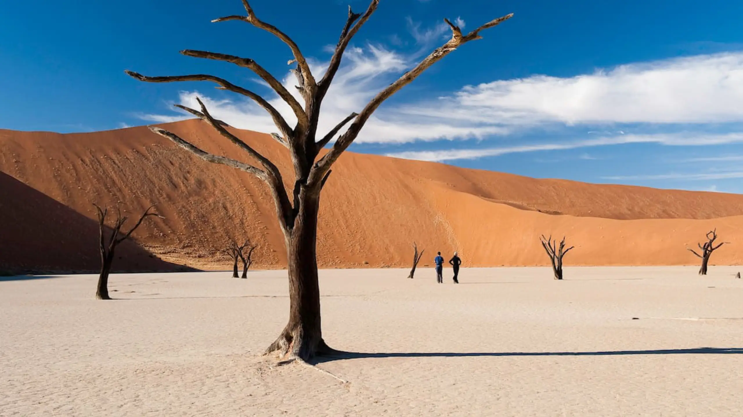namibia namibia