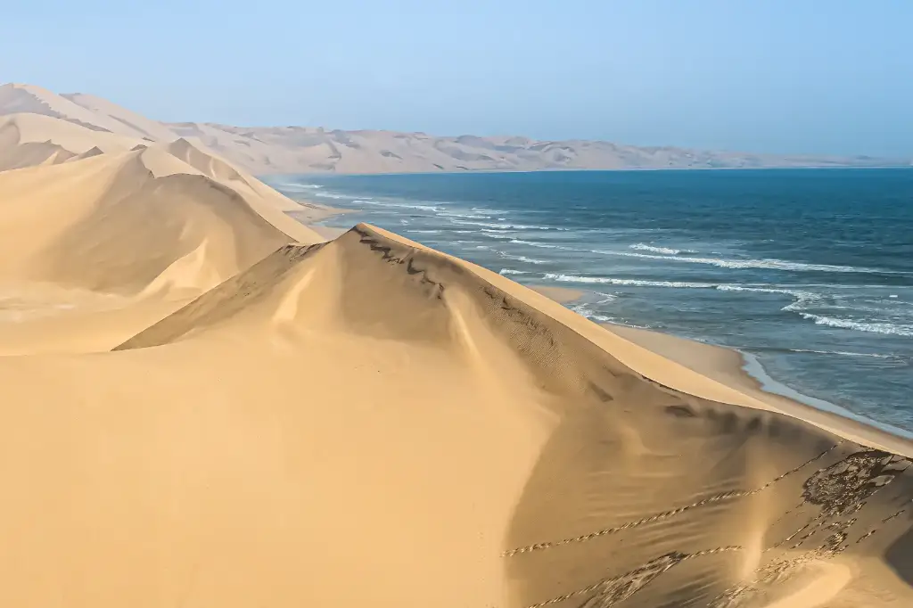 African Safari Tours & Holidays, Safari World Tours