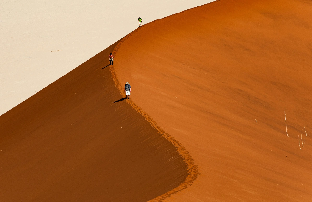 Sandboarding In Namibia