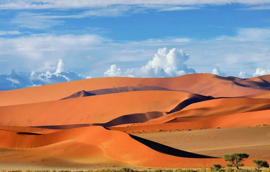 sossusvlei new