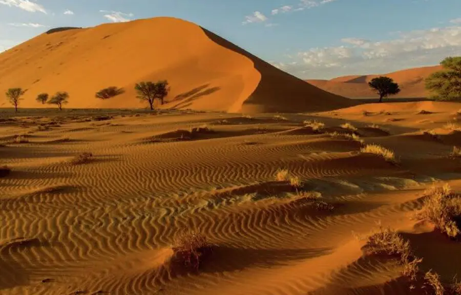 sossusvlei new